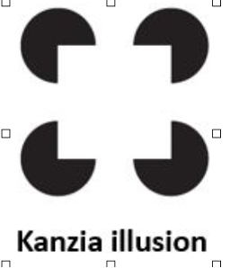 <ul><li><p><span><span>This visual illusion causes your visual system to create a floating square that does not actually exist.</span></span></p></li><li><p><span><span>To see this for yourself, cover all four circles and the square will disappear.</span></span></p></li></ul><p></p>