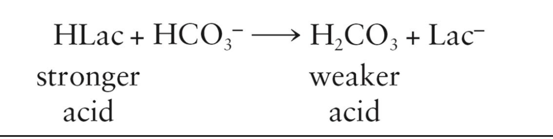 <ul><li><p>Types of buffer systems</p><ul><li><p>Bicarbonate buffer - Consists of a mixture of bicarbonate ions (HCO 3−) and carbonic acid (H2CO 3)</p><ul><li><p>regulated by the kidneys and the respiratory system</p></li></ul></li><li><p>Phosphate buffer</p></li><li><p>Plasma proteins</p></li></ul></li></ul><p><strong>Buffers are resistant to pH changes</strong></p>