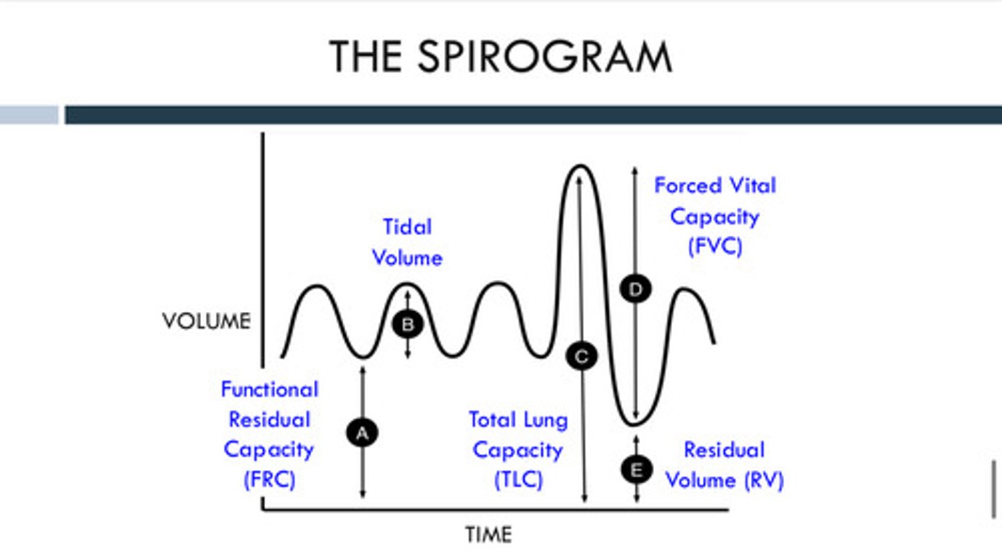 <p>on a spirogram, you will see a slower rise in volume (takes longer to exhale), lower FEV1 (less air out in the first second), lower FEV1/FVC ratio, a scooped or curved shape rather than a sharp linear rise, and the plateau may take &gt;10 seconds to reach (or may never fully flatten due to trapped air)</p>