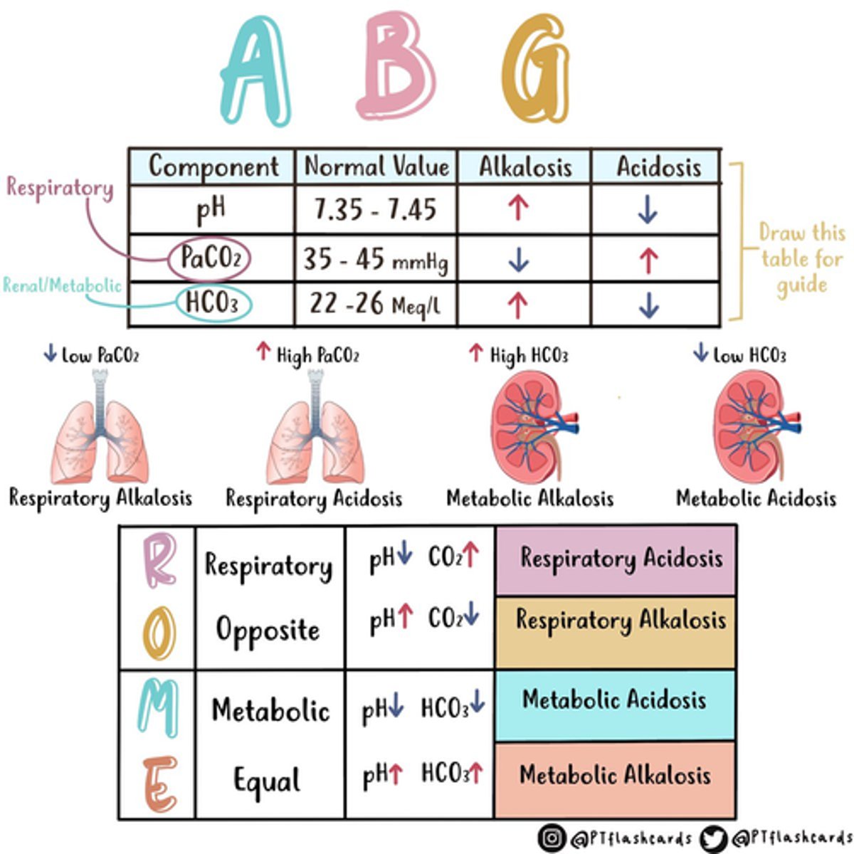 knowt flashcard image