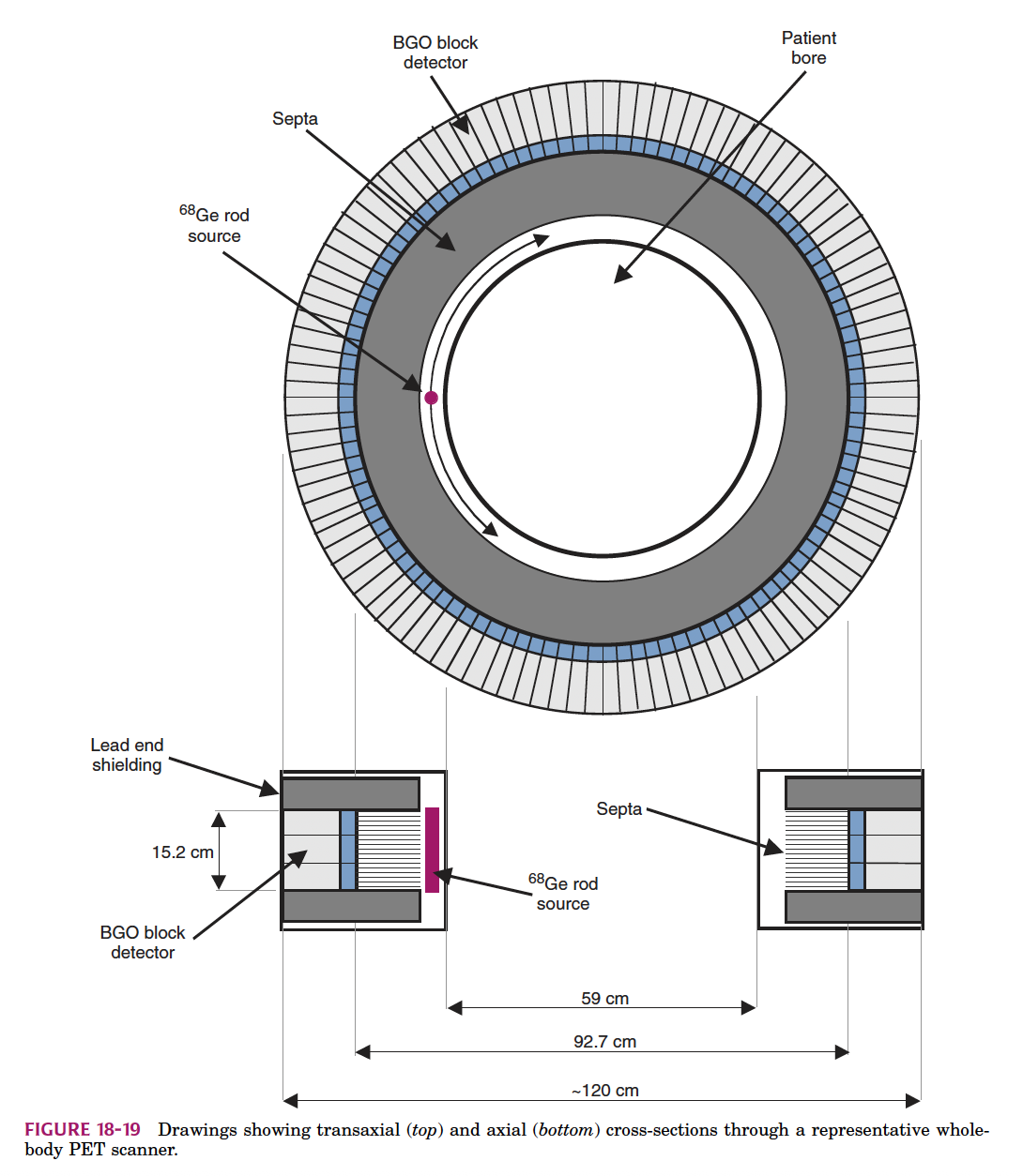 <p>In the diagram, which material is used for the PET detector blocks?</p>