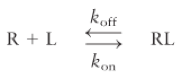 <ul><li><p>rate of formation of RL complex: k<sub>on</sub> [R] [L]</p></li><li><p>rate of dissociation of RL complex: k<sub>off</sub> [RL]</p></li><li><p>at equilibrium: rate of formation = rate of dissociation</p></li><li><p>Kd = k<sub>off </sub>/ k<sub>on</sub> = ([R] [L])/[RL]</p><ul><li><p>Kd: when 50% of receptor is bound to ligand</p></li><li><p>low K<sub>d</sub> → high affinity (less ligand needed to occupy 50% of receptors)</p></li></ul></li></ul><p></p>