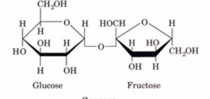<p>these are examples of?</p>