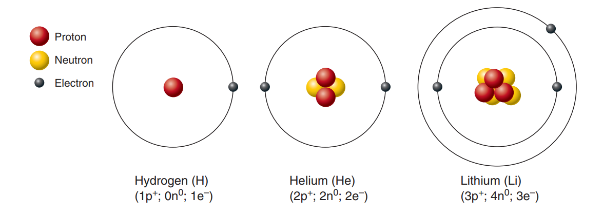 Atomic structure of the three smallest atoms. | © Marieb & Hoehn's Human Anatomy & Physiology
