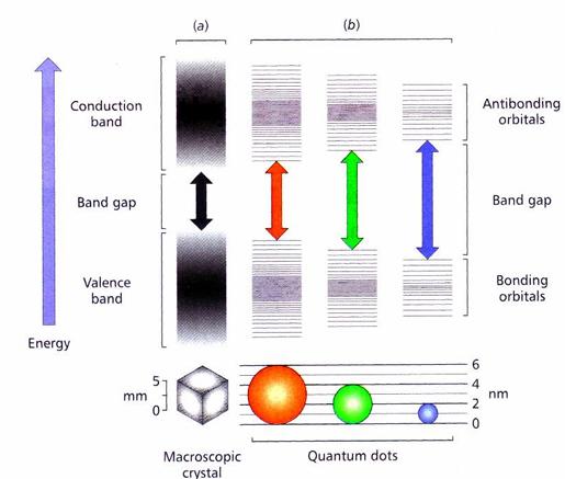 <p>In a bulk semiconductor, AOs overlap to form bands. However, in NPs there are fewer AOs, the smaller the particle, the fewer AOs.</p><p>As the overlap becomes lesser, the band gap between orbitals increases. The different energies of this band gap is what leads to a different fluorescent colour.</p>