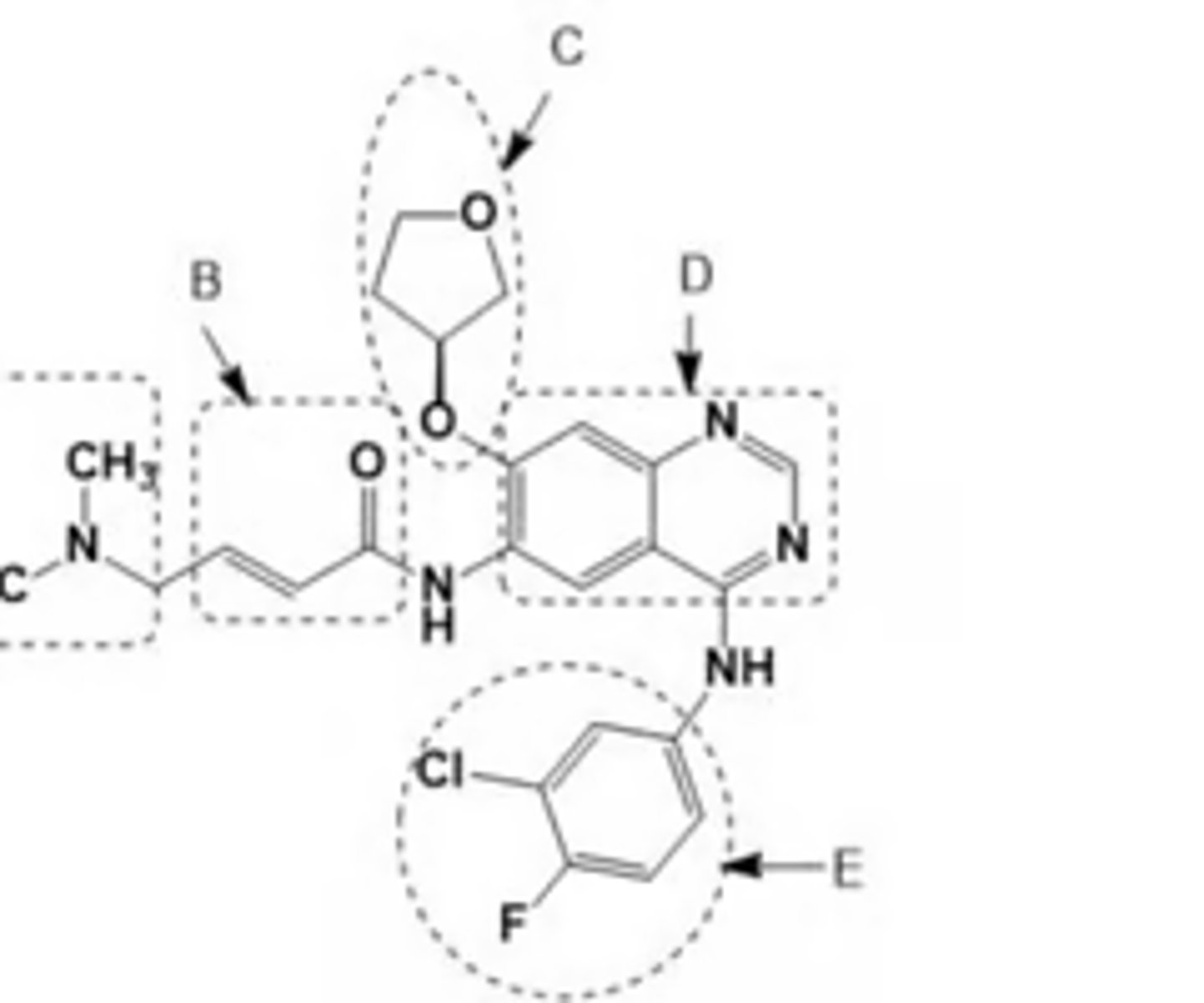 <p>Which part of the structure of tyrosine kinase inhibitors of EGFR covalently binds to cysteine 797 of the EGFR via a Michael addition?</p>