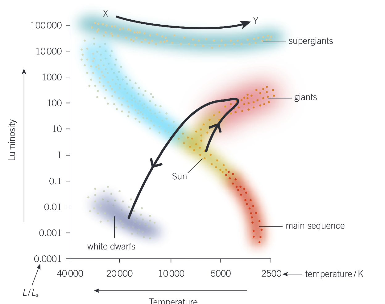 <p>move across the diagram, crossing the main sequence line to end up as white dwarfs</p>
