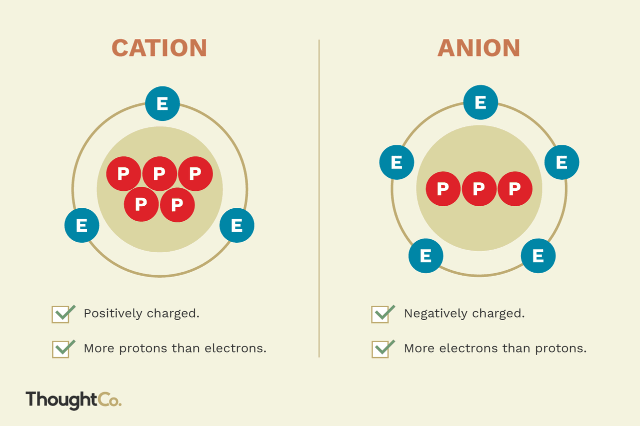 <ul><li><p>They are ions that have lost electrons and have more protons than electrons, making them positively charged</p></li><li><p>The loss of electrons causes less electron-electron repulsion, resulting in a smaller radius</p></li></ul><p></p>
