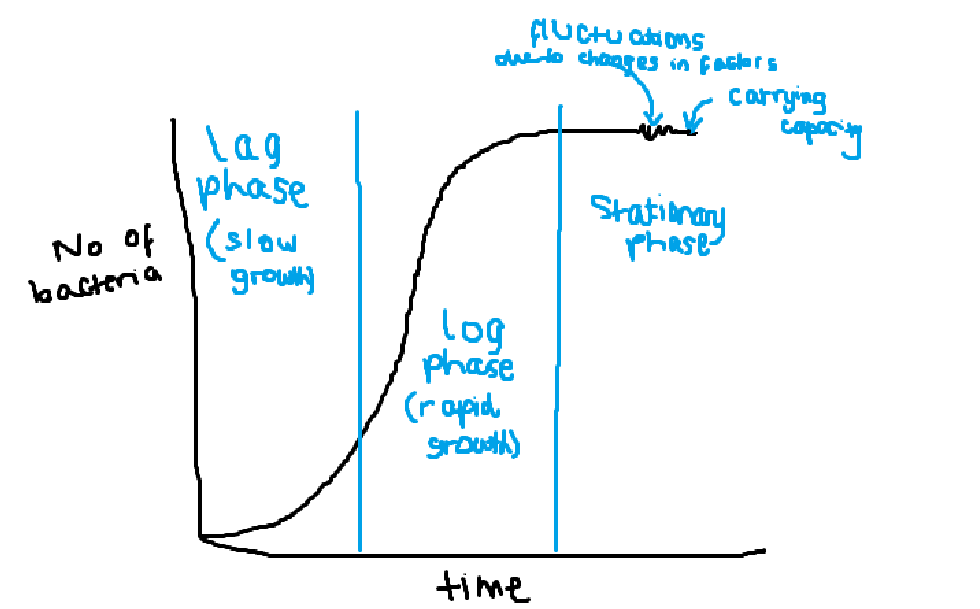 <p>population growth curve </p>