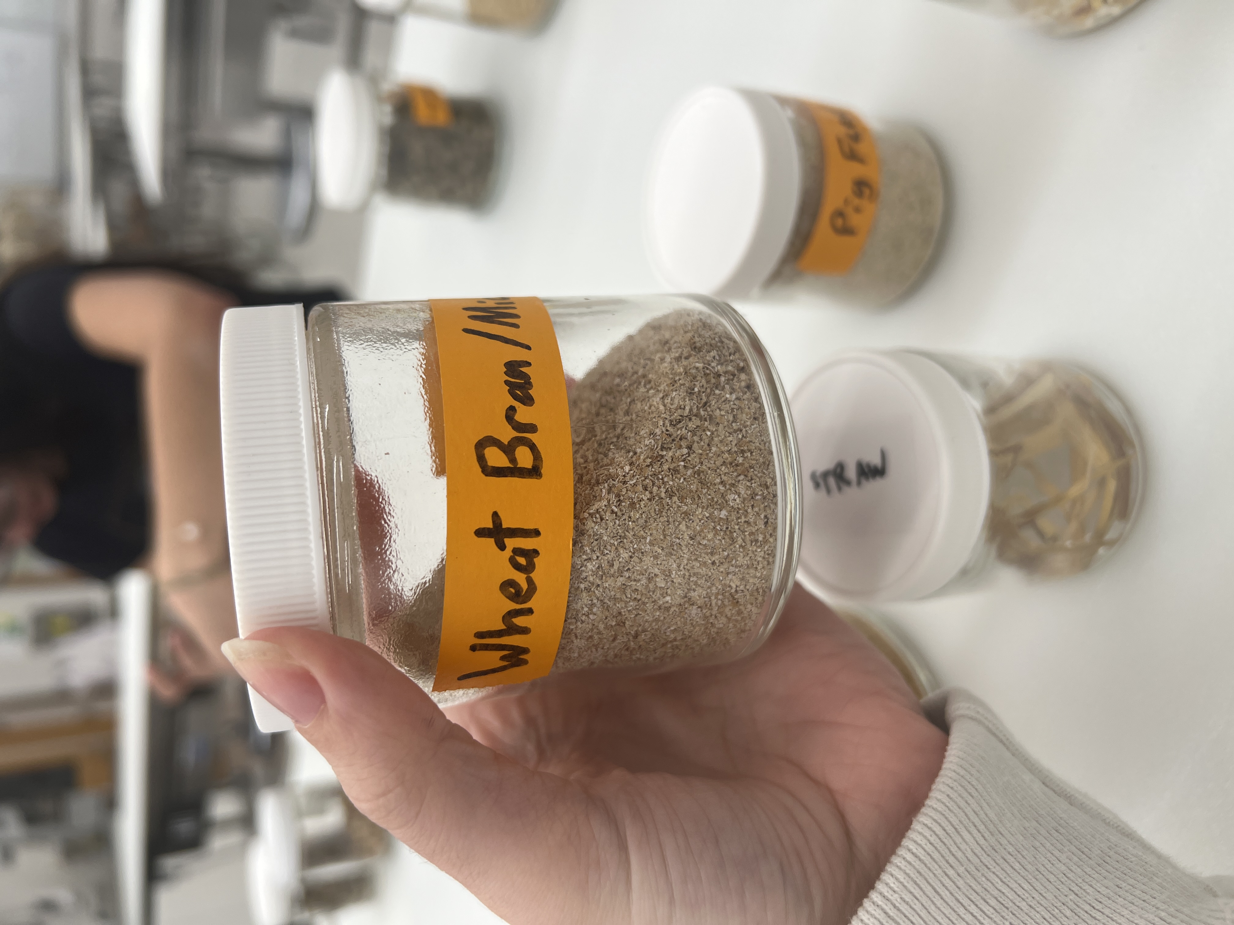 <ul><li><p>IFN # and category: 4 high energy concentrate</p></li><li><p>AAFCO category: processed grain by-product</p></li><li><p>appearance: light brown and white powdery pieces</p></li></ul><p></p>