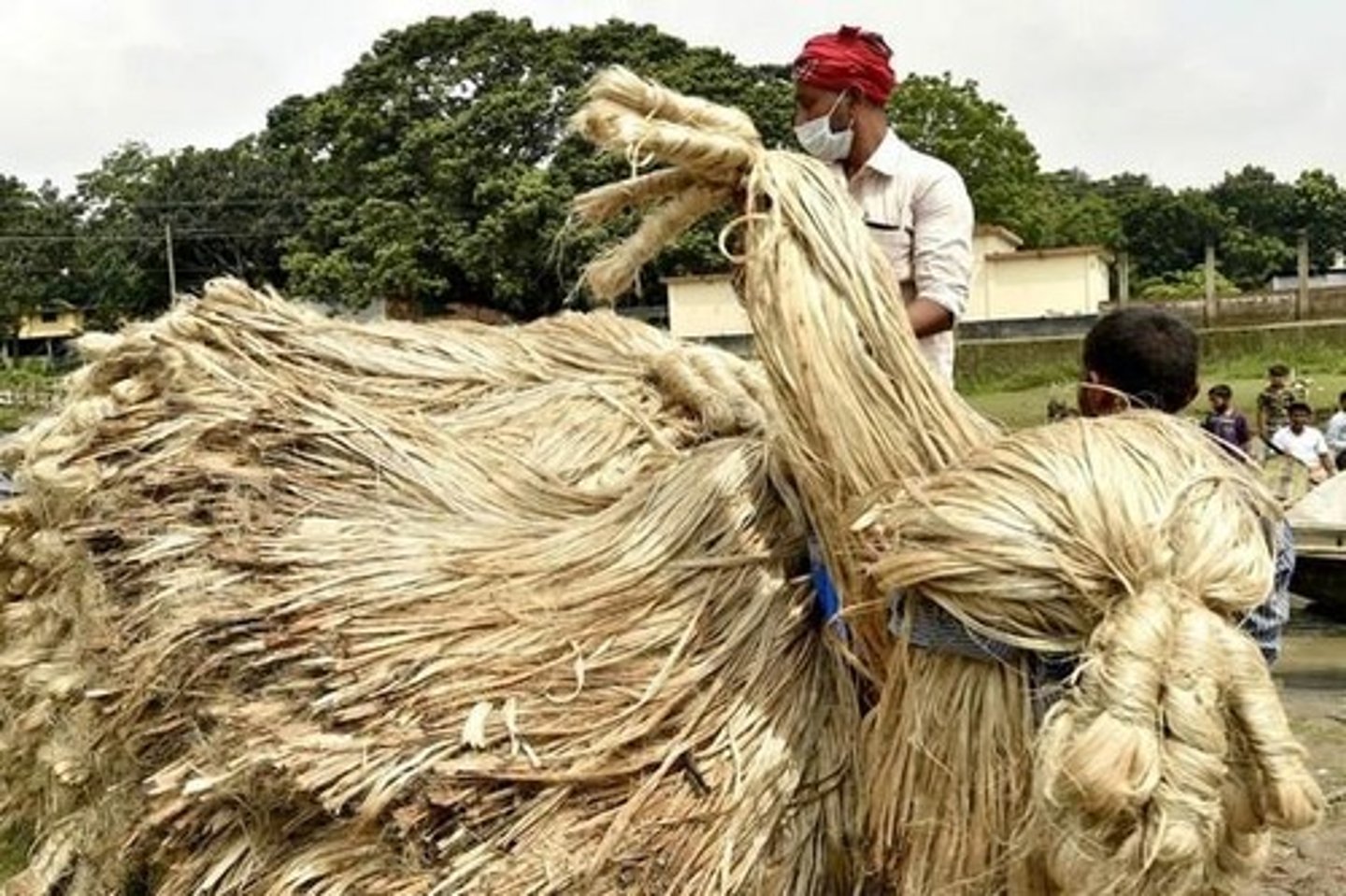 <p>A fiber which resembles flax, made from the stem and stalk of the jute plant primarily grown in India. It is very long, dimensionally stable, harsh, brittle, lint's badly, and wrinkles easily.</p>