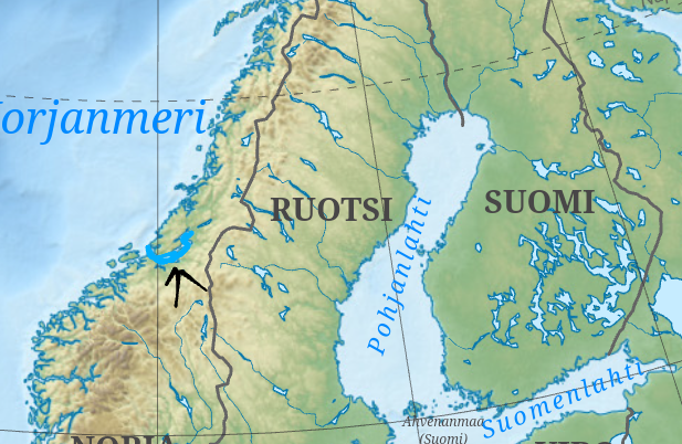 term image