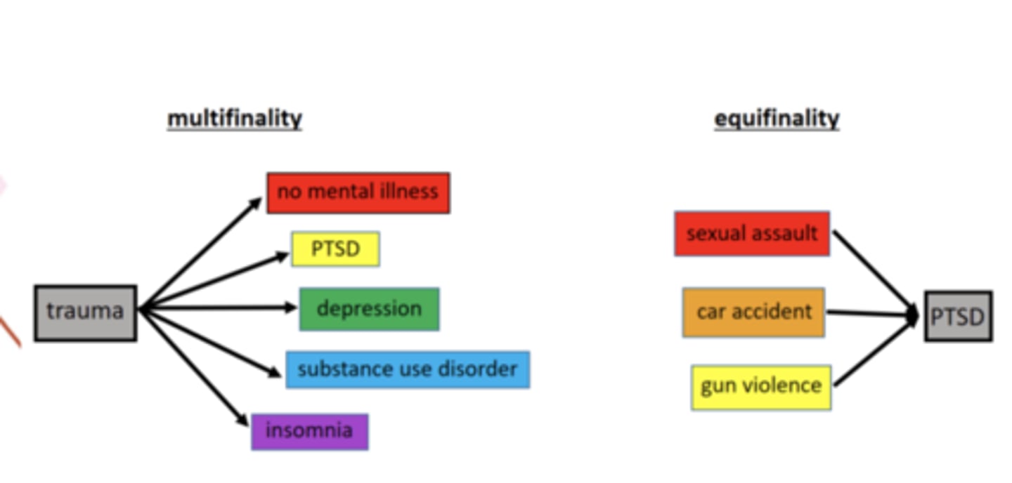<p>Multifinality - various outcomes may stem from similar beginnings</p><p>Equifinality - similar outcomes may follow from different early experiences</p>