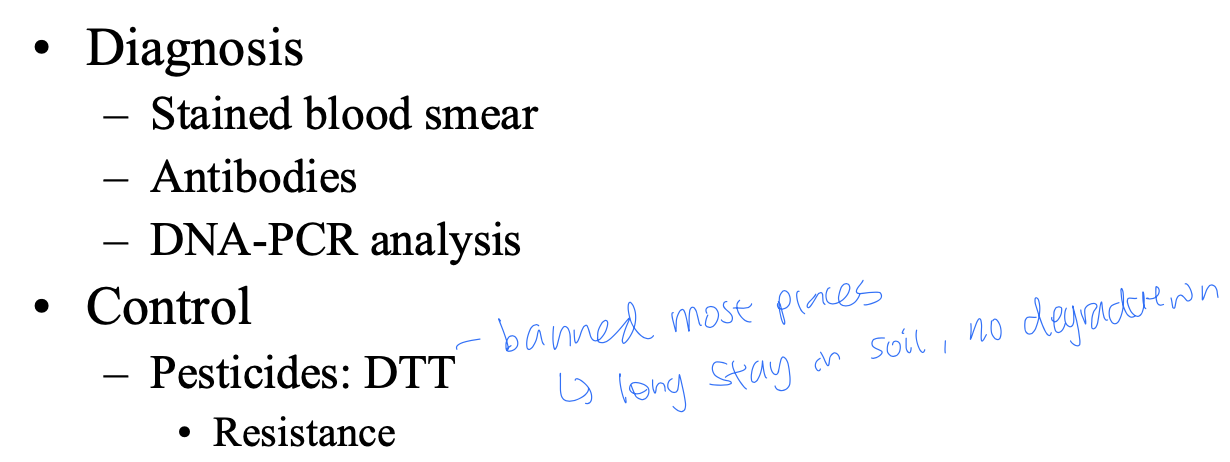 <p>treat with antimalaria drugs</p>