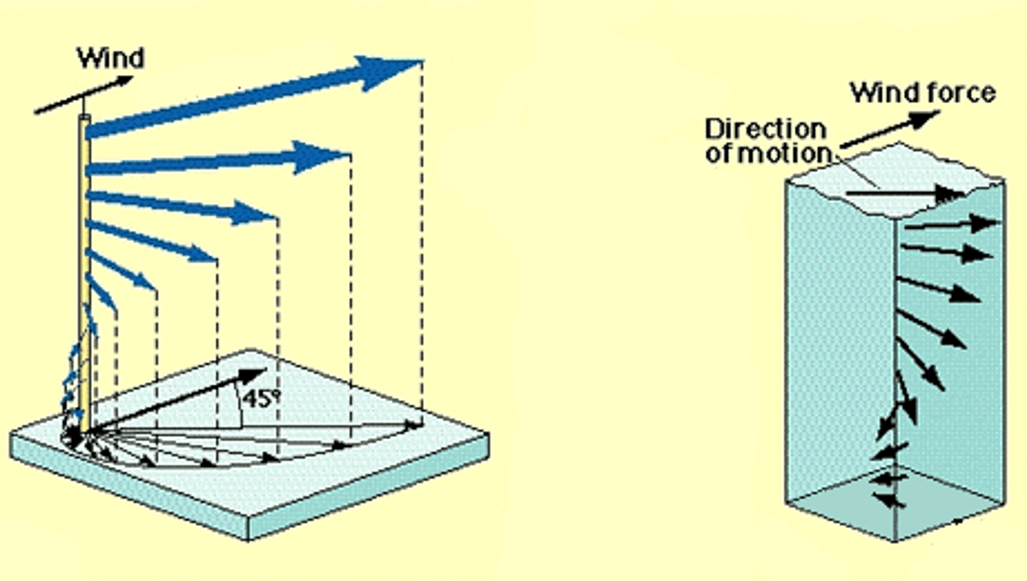 <p>deeper layers moved more slowly and twist around; may flow opposite to surface currents</p><p>*Coriolis displacement of waters: CW in N and CCW in S</p>
