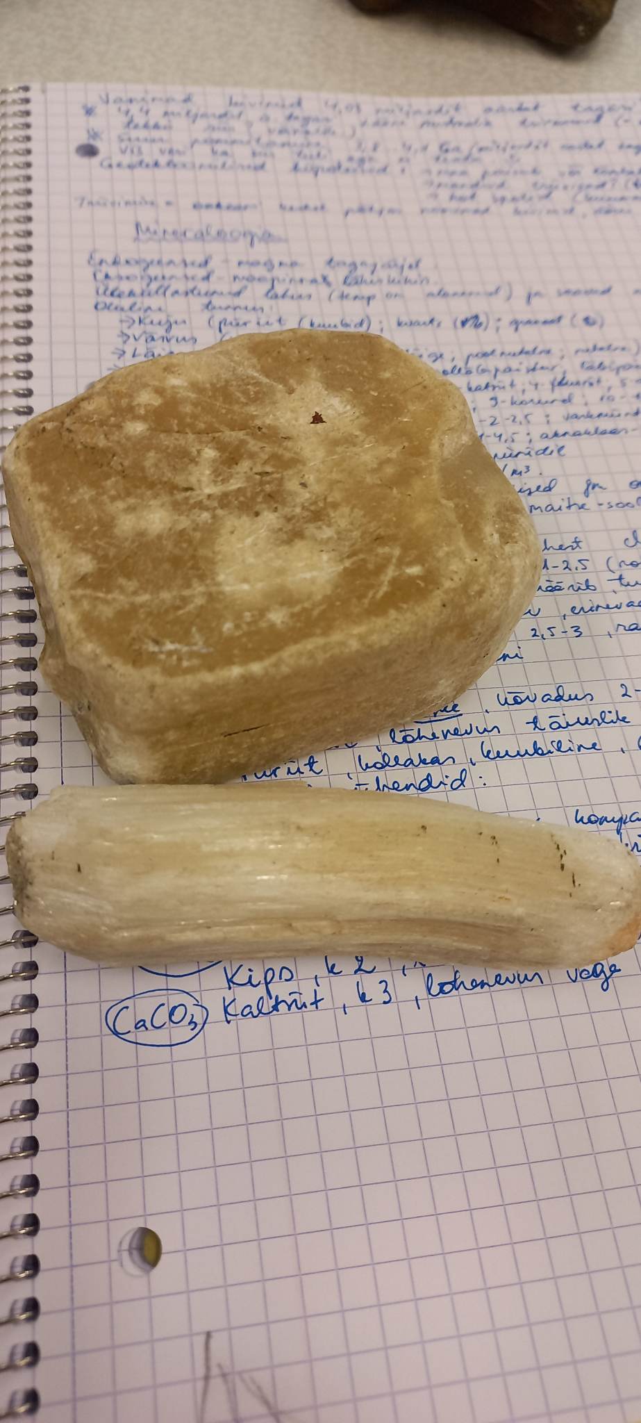 knowt flashcard image