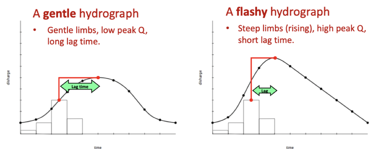 Flashy: river discharge increases rapidly over a short period of time

Rainwater reaches river quickly- high tendency to flood

Occur in urban areas, rivers with low rock/catchment permeability and on steep catchments, small basin

* Water cant go through the concrete and asphalt (less infiltration) running off the surface quickly,(infiltration excess runoff),Lack

  of vegetation

Gentle: Gentle limbs, low peak discharge and a long lag time, areas with low relief and permeable soils, where water infiltration and runoff occur at a slower rate.

      