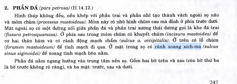 <p>C. a, b đúng.</p><p><span style="color: purple"><em>(Rãnh xoang sigma tiếp nối rãnh xoang ngang) </em></span></p>
