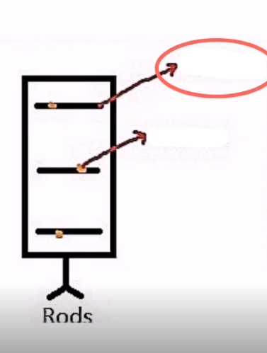 <p>The structure inside a rod.</p>