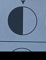 <p>phase, cycle, rises at, sets at</p>