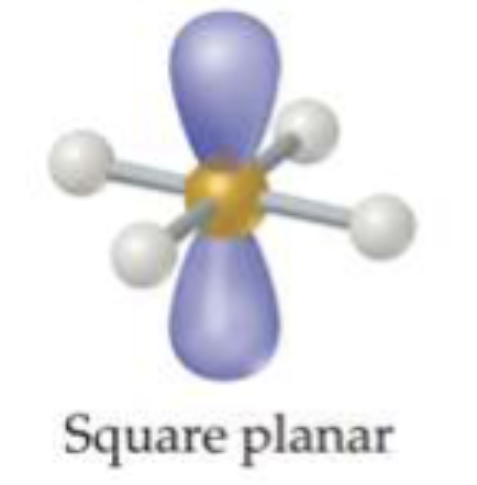 <p>square planar</p>