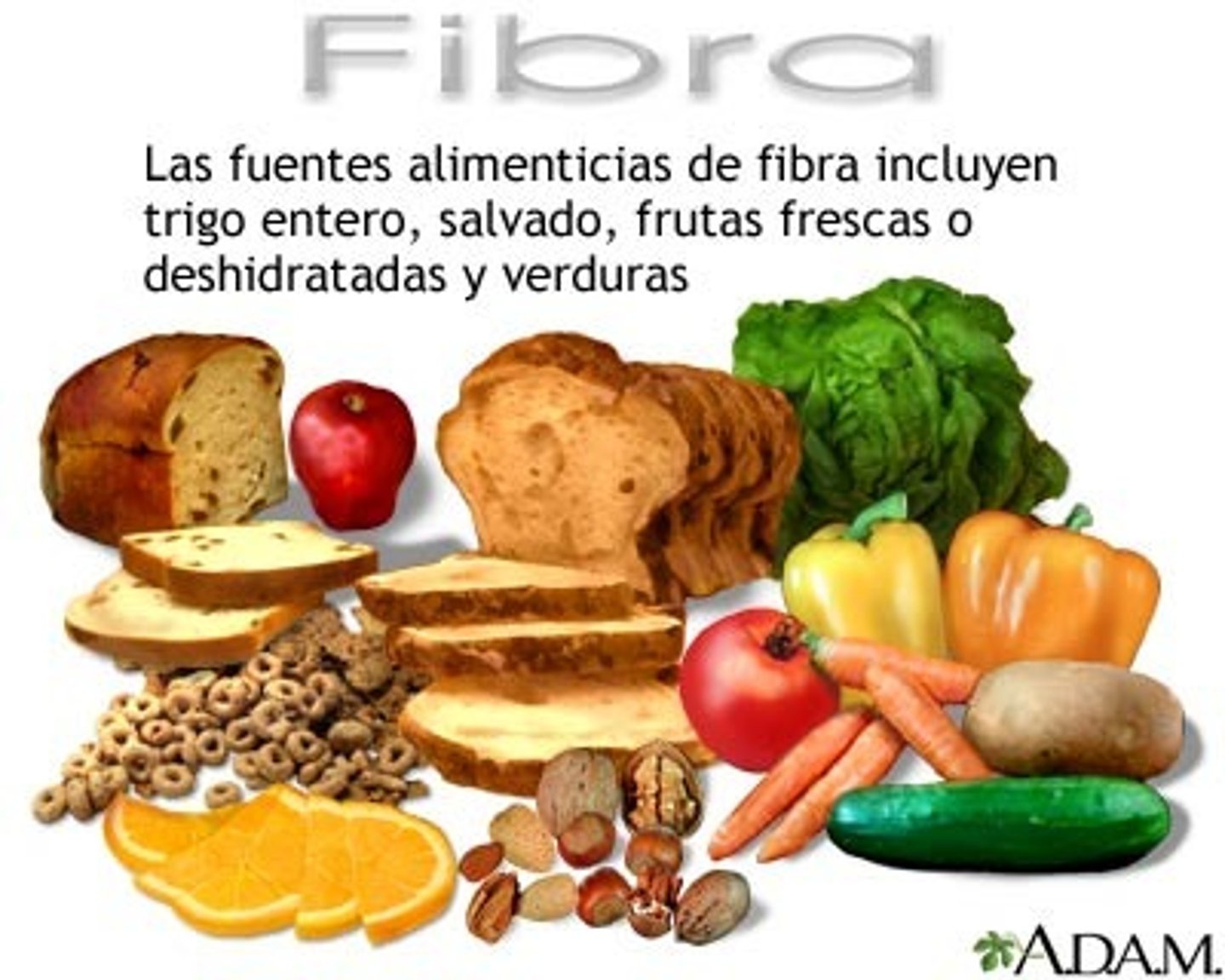 <p>fiber</p>