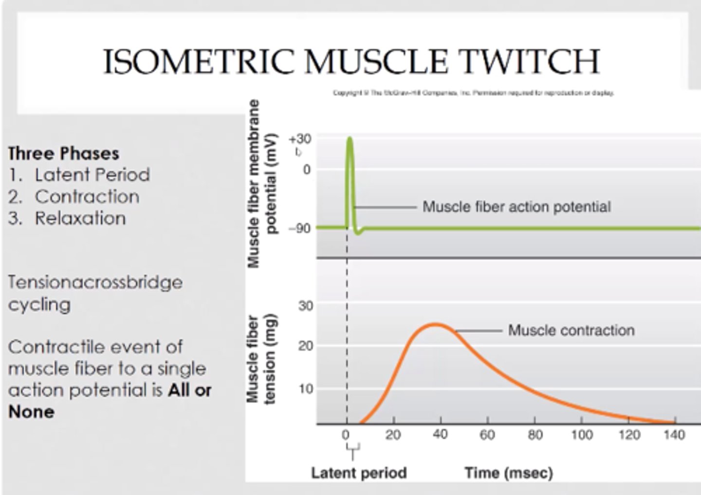 <p>a twitch during which a muscle generates force but does not shorten</p>