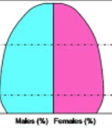 <p><span>In </span><strong>Stage 4</strong><span>, birth and death rates are both low, stabilizing the population. These countries tend to have stronger economies, higher levels of education, better healthcare, a higher proportion of working women, and a fertility rate hovering around two children per woman. Most developed countries are in Stage 4. (Inverted Pyramid shape)</span></p>