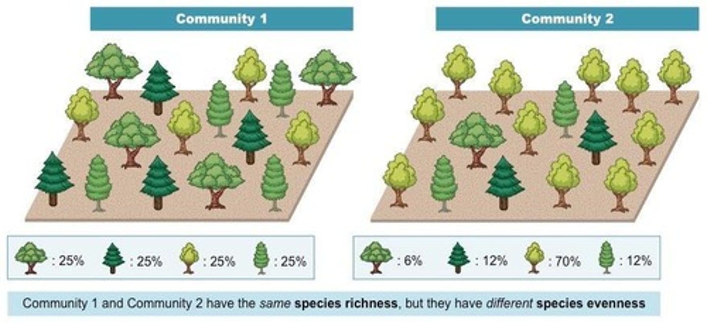 <p>The total number of different species found in an ecosystem.</p>