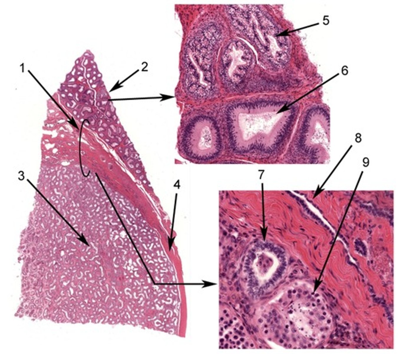 <p>3</p>