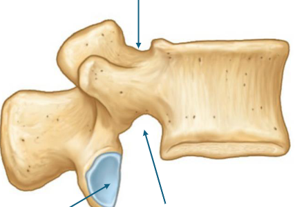 <p>? top to bottom </p>