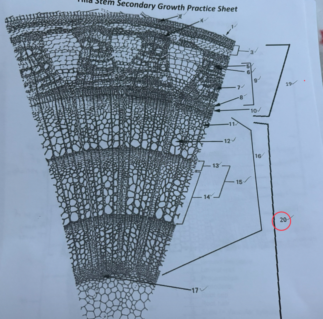 knowt flashcard image