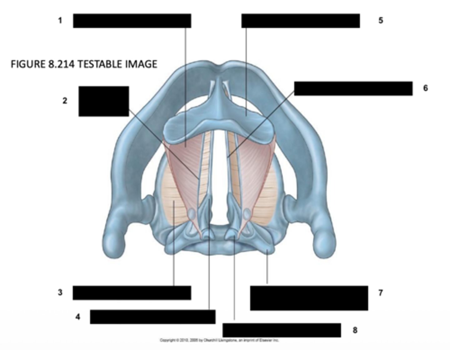 <p>7</p>
