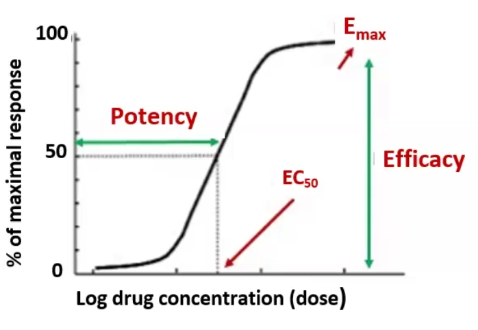 <p>Graded Dose Response: the effect of various doses of a drug in a single individual</p><ul><li><p>EC<sub>50</sub> / ED<sub>50</sub>: The concentration or dose at which half the maximal response is produced</p></li><li><p>E<sub>max</sub>: the maximal response</p></li><li><p>Potency: measure of strength, the concentration needed to reach EC<sub>50</sub> / ED<sub>50</sub></p></li><li><p>Efficacy: The ability of a drug to produce a biological response; an index of the maximal response E<sub>max</sub></p></li></ul><p></p>