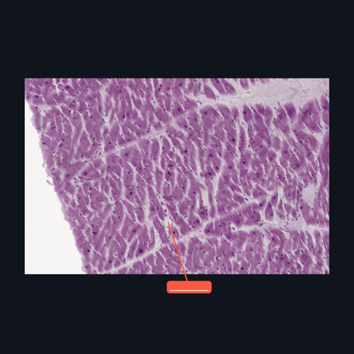 <p>Identify the structure</p>