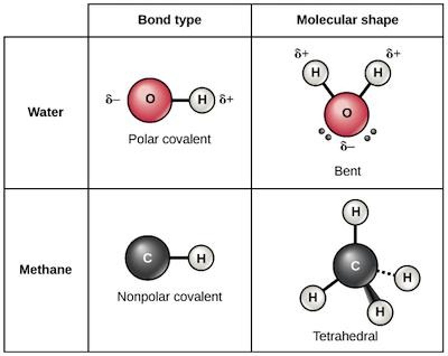 <p>Unequal sharing of electrons, resulting in partial charges.</p>