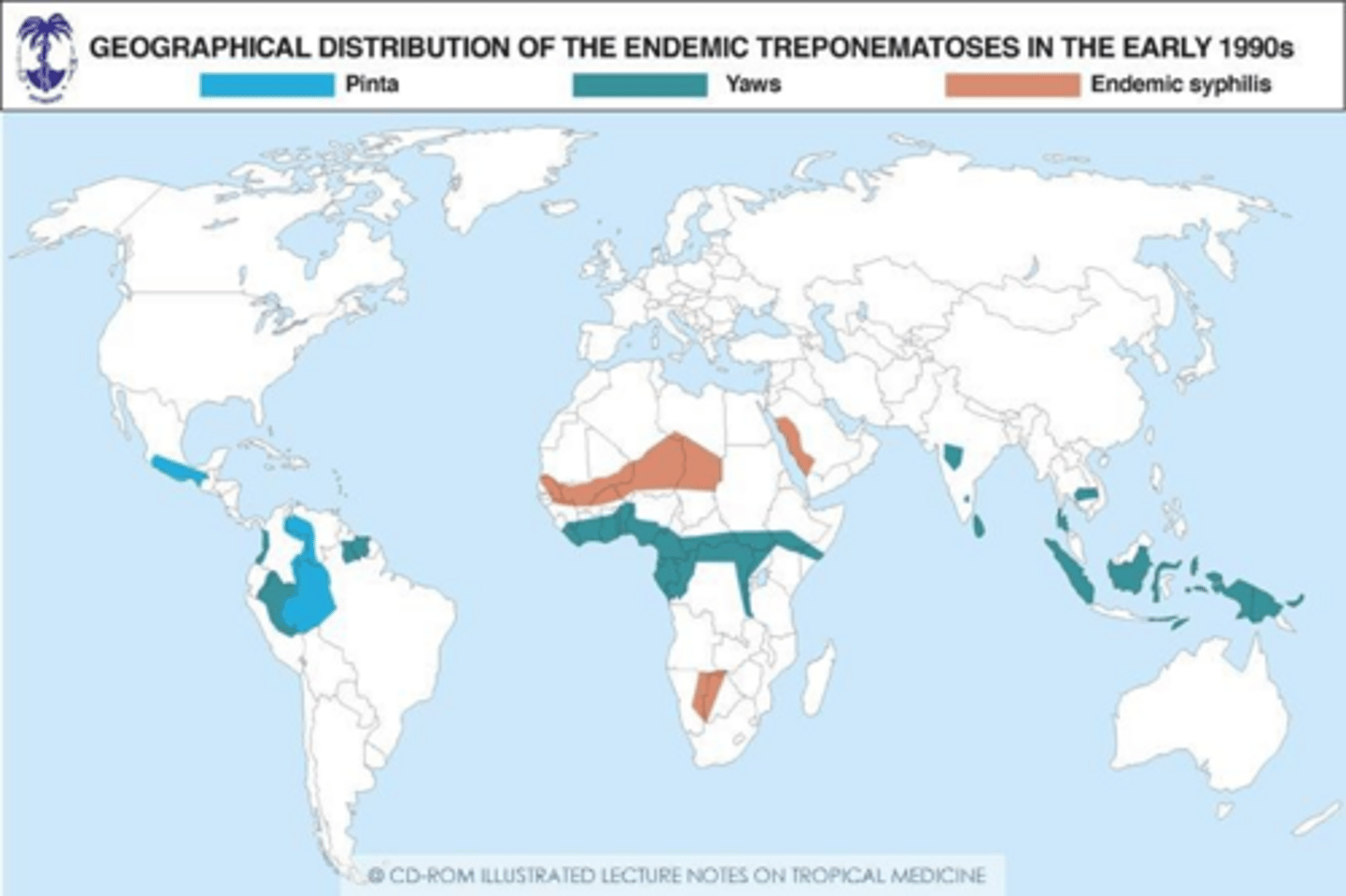 <p>1. Venereal syphilis 2. Pinta 3. Yaws 4. Bejel (endemic syphilis).</p>