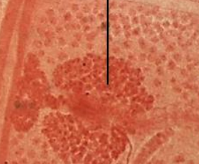 <p>What is this arrow pointing too?</p>