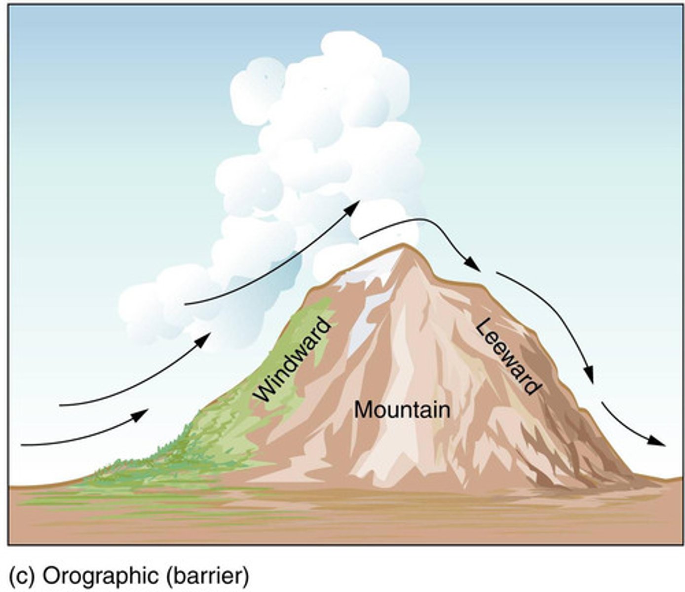 <p>as the air rises, it cools and condenses on the windward side of the mountain, as it goes down the opposite mountain side, the air warms but has less water vapor</p>