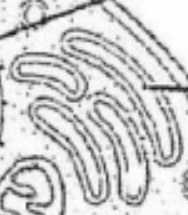 <p>Golgi bodies collect and process materials to be removed from the cell. They also make and secrete mucus. Cells that secrete a lot of mucus, such as cells lining the intestine, have many Golgi bodies.</p>