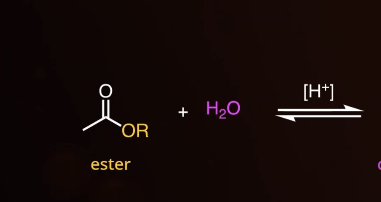 <p>hydrolysis </p>