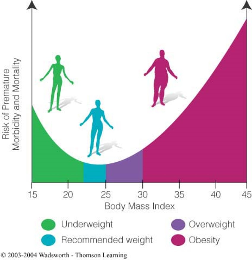 <p>Body Mass Index: BMI</p><p><18 under</p><p>18.5-25 healthy</p><p>25-30 over</p><p>>30 obese</p><p>Average trends, more risk for causes of low or high weight than the weight itself</p><p>IE: smoking or drug use, or fat consumption and sedentary</p>