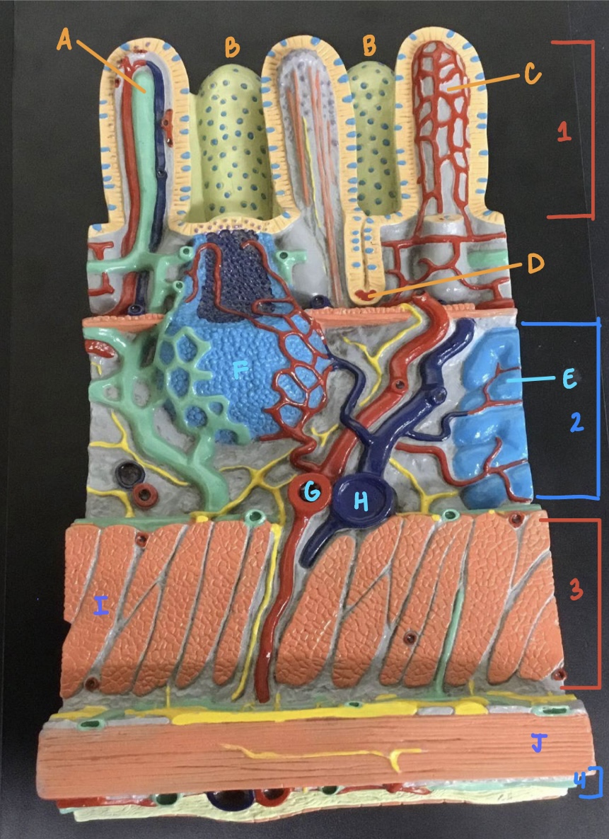 <p>Label layer 2</p>