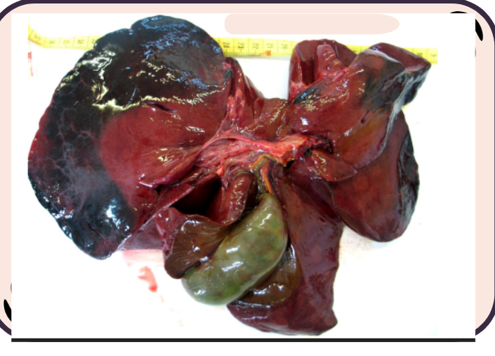 <p>What is this?</p>