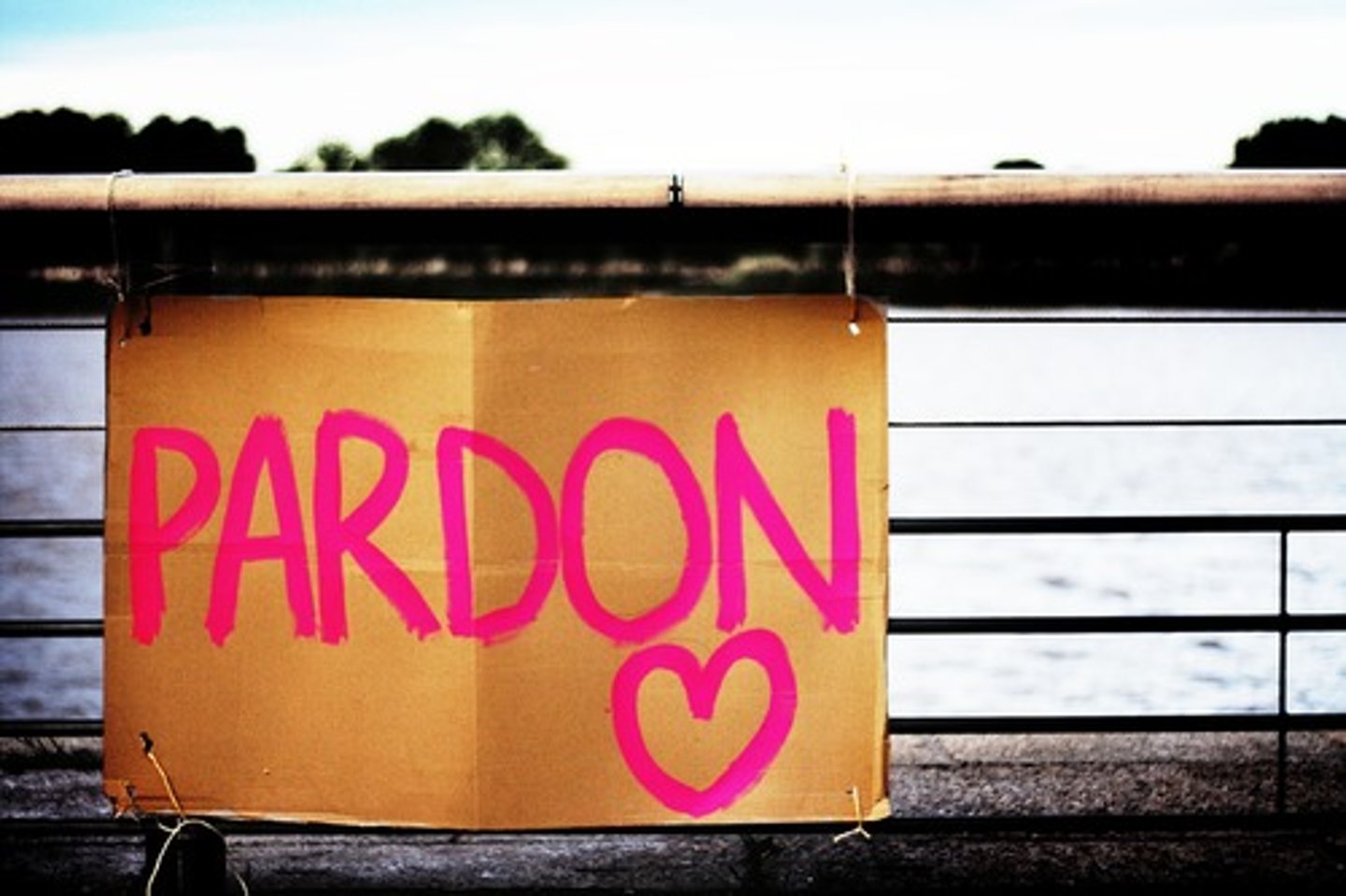 <p>(v) to pardon or overlook</p>