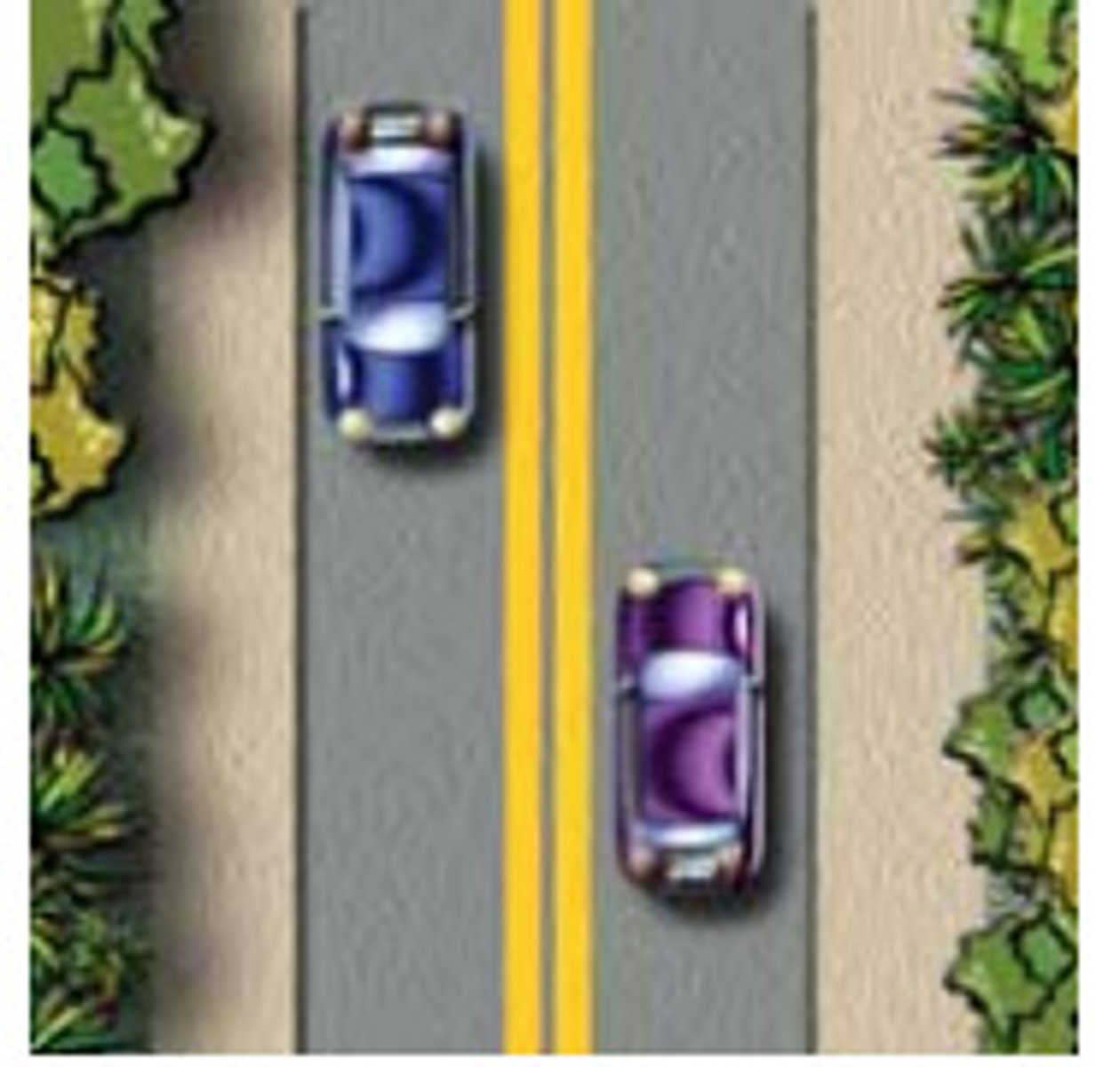 <p>Passing is not permitted on either side of the line.</p>