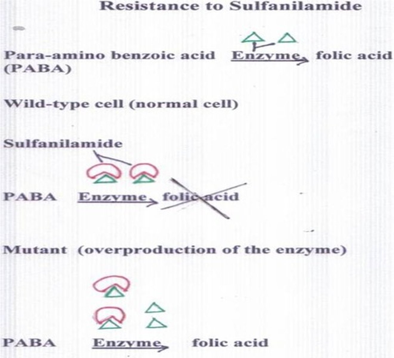 <p>Mutations can result in the overproduction of the enzyme that is being inactivated by the drug</p>