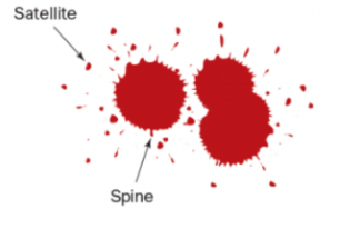 <p>Blood hits and adheres to a porous surface</p>