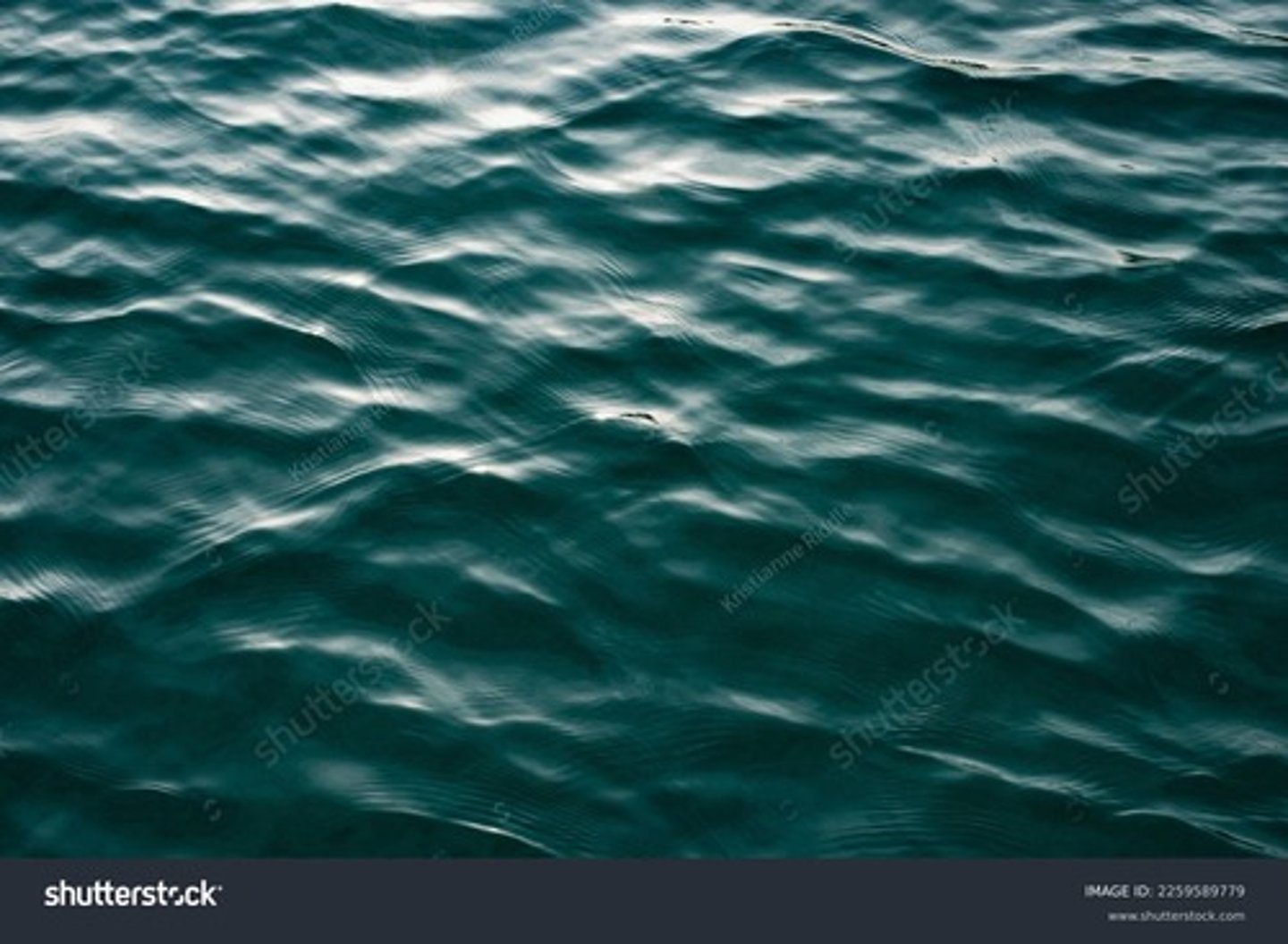 <p>? (sea-green, lat. glacus, Littré, BI 48)</p>