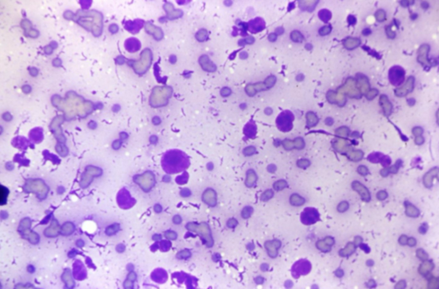 <p>What's wrong with this sample?</p>